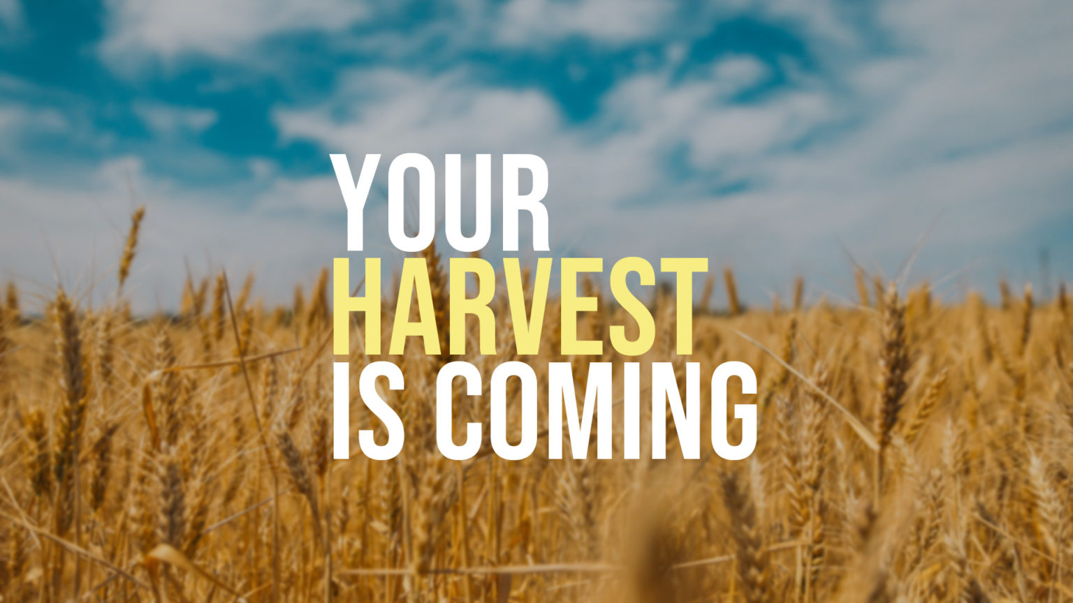 Your Harvest Is Coming - Grace Church